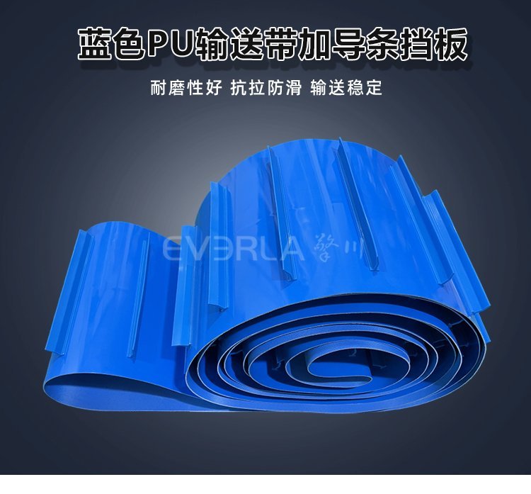 食品分拣线方案：蓝色 PU 输送