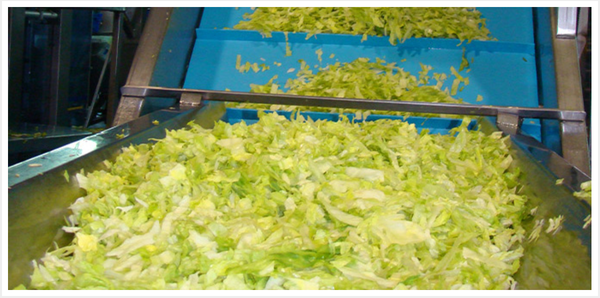 果蔬清洗后输送易滑？PVC输送