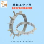 特殊输送带有哪些？