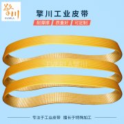 输送机输送网带在输送机的哪