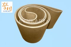 轻型输送带的发展前景如何