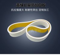 黄绿片基带加白胶抗撕裂